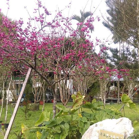 유치 Sun Moon Lake Wild Flower B&B 외부 사진