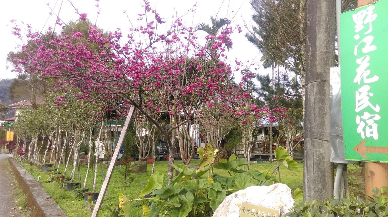 유치 Sun Moon Lake Wild Flower B&B 외부 사진